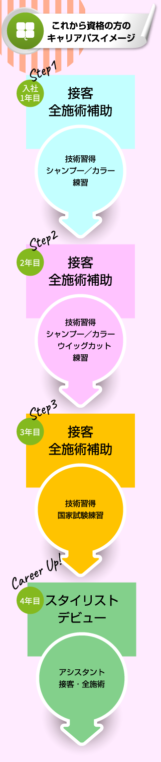 これから資格の方のキャリアパスイメージ